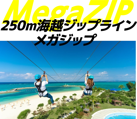 250m海越ジップライン メガジップ(MegaZIP)